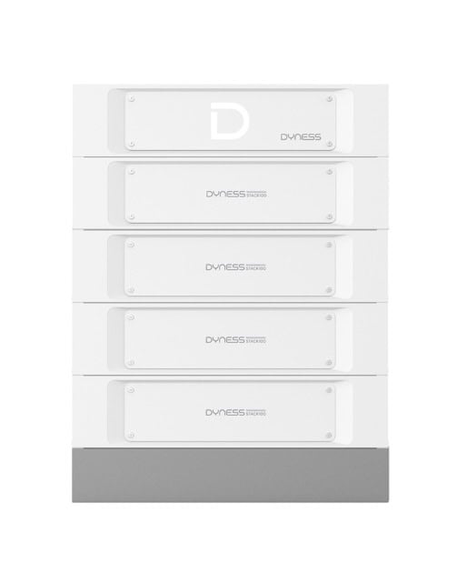 DYNESS STACK 100 20,48 KWH
